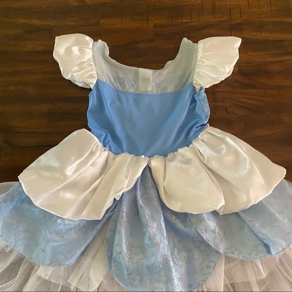 Disney Cinderella Costume